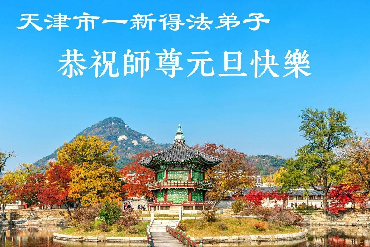 Image for article Des nouveaux pratiquants souhaitent respectueusement au vénérable Maître une Bonne et Heureuse Année ! (19 vœux)