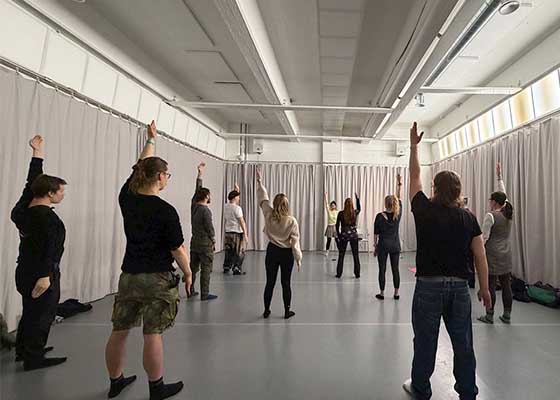 Image for article Finlande : Présentation du Falun Dafa au Festival de yoga d’Helsinki