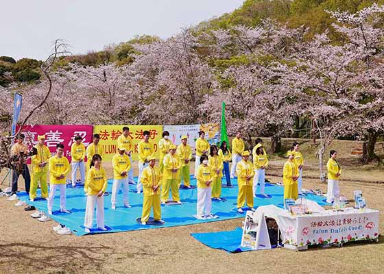 Image for article Toyota, Japon : Présentation du Falun Dafa lors du Festival des cerisiers en fleurs