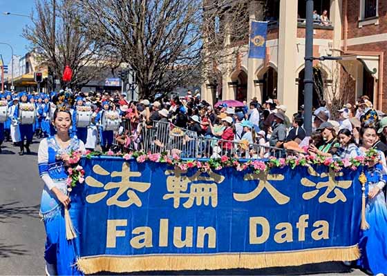 Image for article Australie : Le groupe du Falun Dafa remporte des prix lors du grand défilé floral de Toowoomba