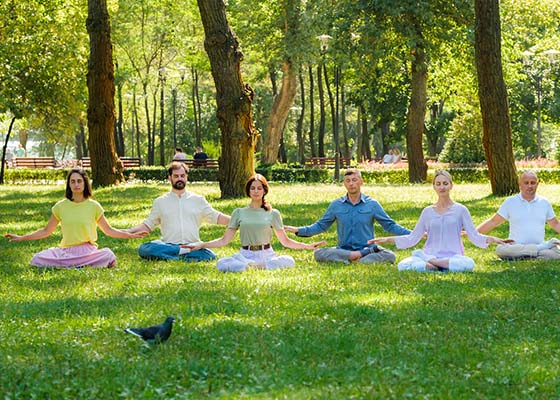 Image for article Plus de 165 000 personnes dans 170 pays bénéficient des cours de Falun Dafa en ligne